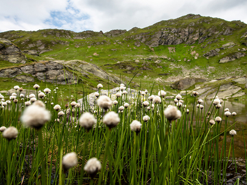 mys-Haslspitz and Rastkogel Lakes-Haslspitze and Rastkogel Lakes
