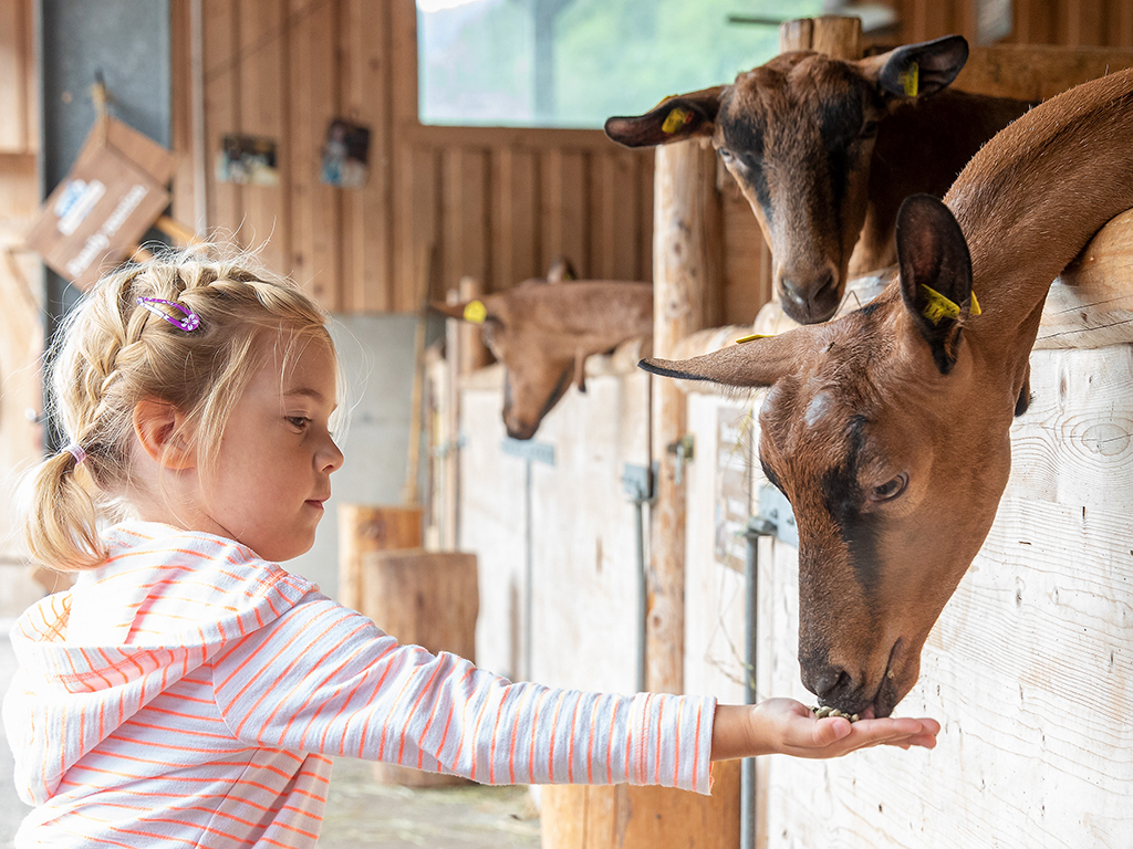 mys-SchauBauernhof der ErlebnisSennerei Zillertal-Schaubauernhof