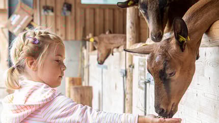 mys-Schau-Bauernhof der Erlebnissennerei Zillertal-Schaubauernhof