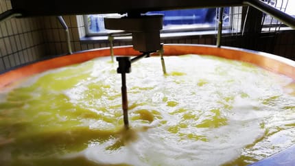 myregio-Zillertaler Heumilch-Sennerei eGen