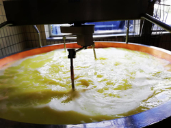 myregio-Zillertaler Heumilch-Sennerei eGen