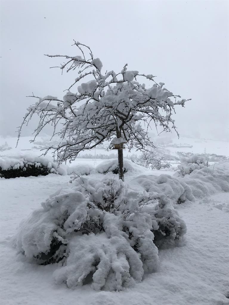 feratel-Lindenhof - Winterwonderland