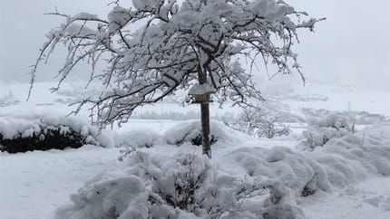 feratel-Lindenhof - Winterwonderland