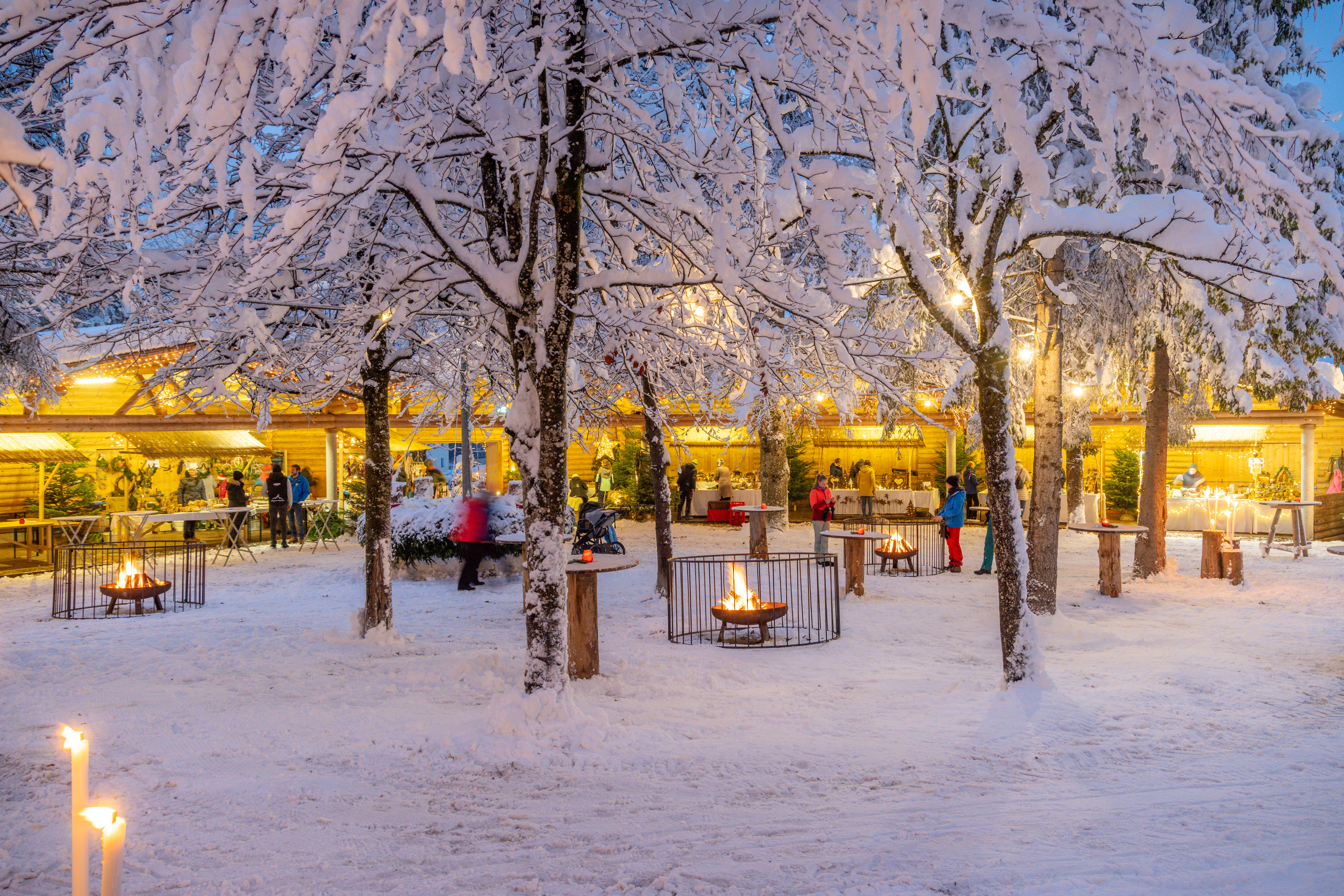 mys-Waldfestplatz-Waldfestplatz