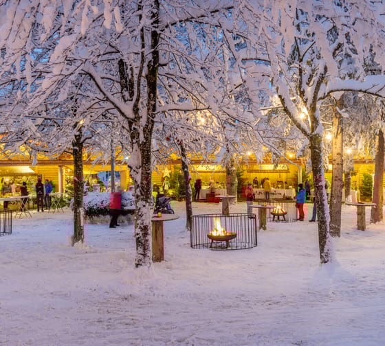mys-Waldfestplatz-Waldfestplatz