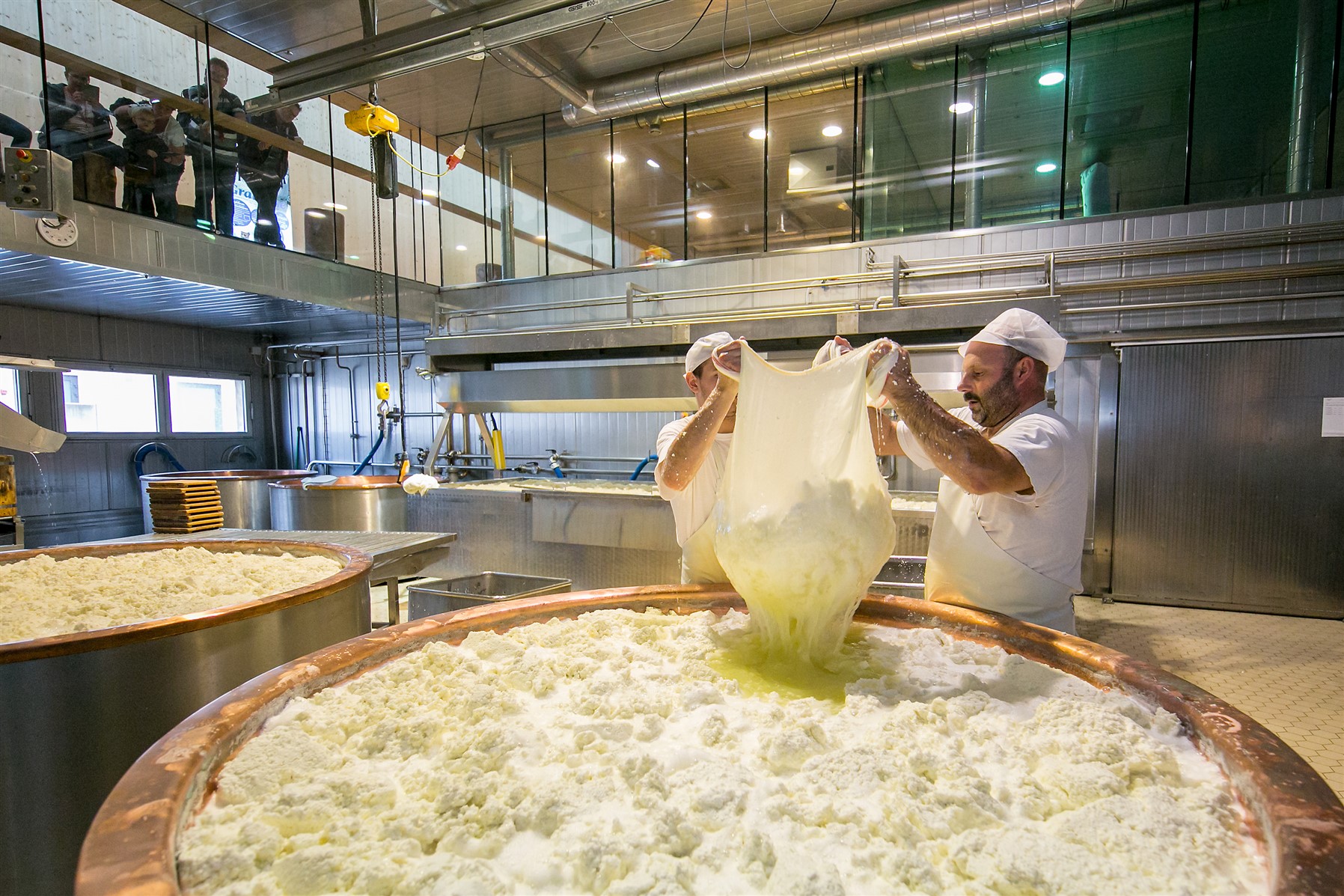 Zwei Käsehersteller ziehen Käsemasse in einer Fabrik, mit großen Kupferbehältern im Vordergrund.