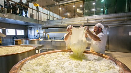 Zwei Käsehersteller ziehen Käsemasse in einer Fabrik, mit großen Kupferbehältern im Vordergrund.