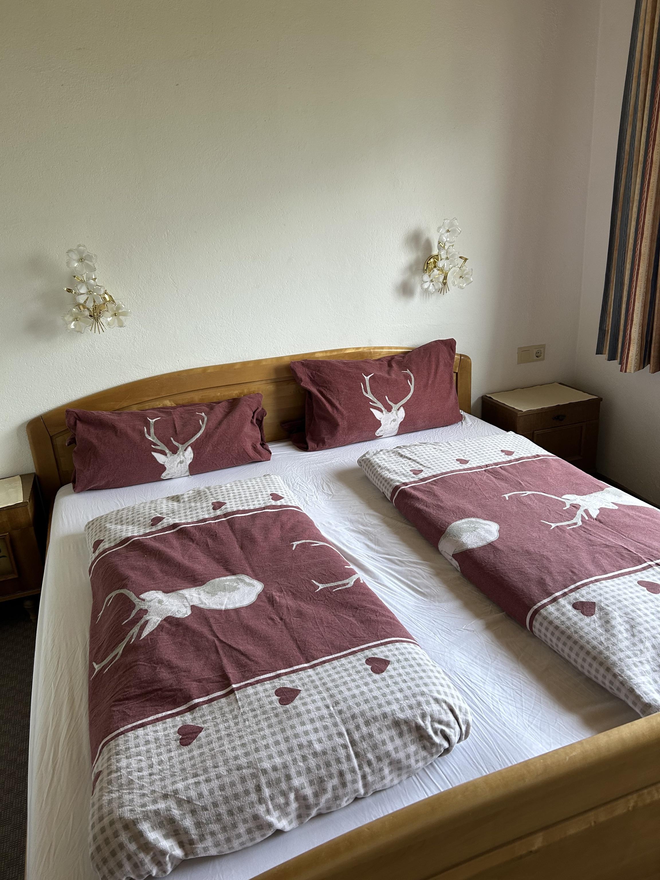 feratel-Apartment mit Bergblick - IMG_2104 (1)