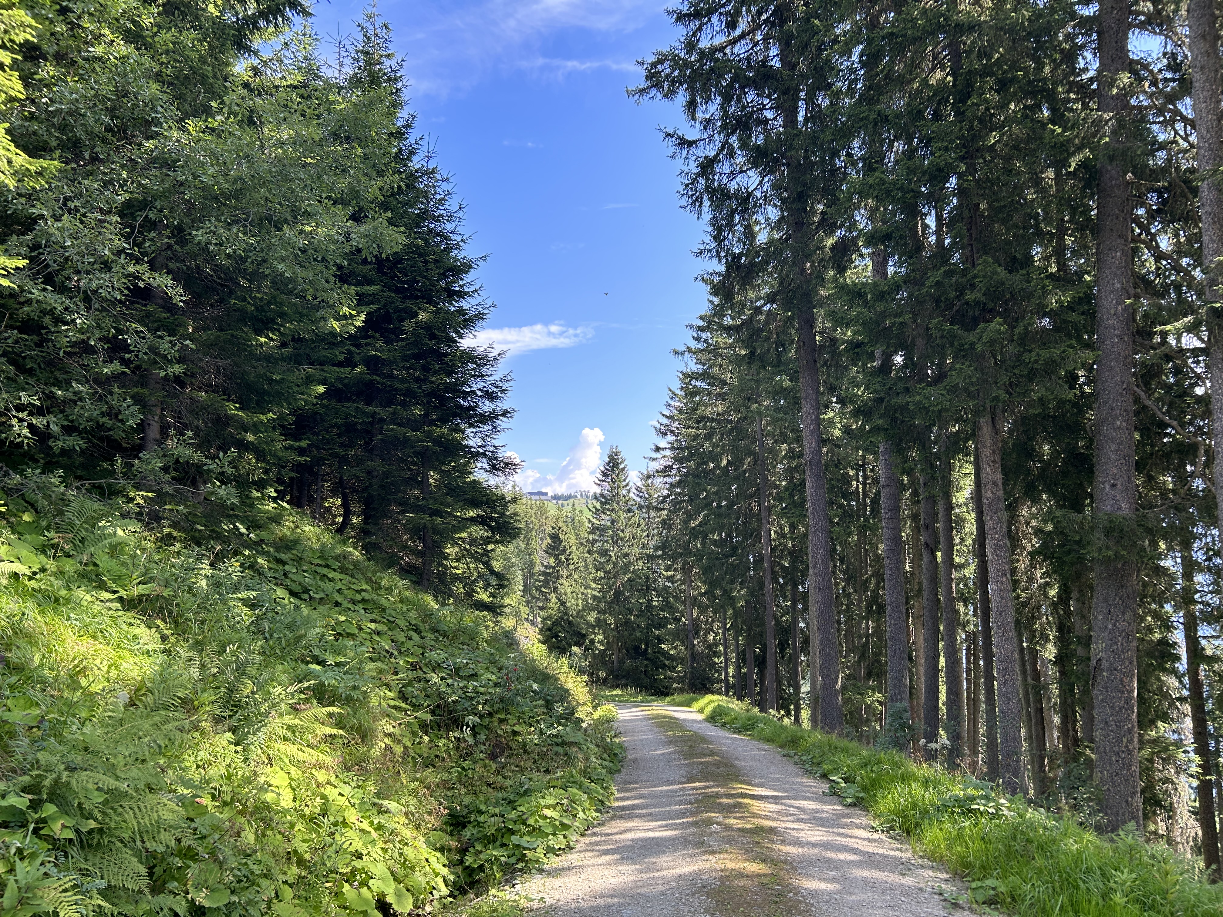 Erlebnistester Laurent Williams 