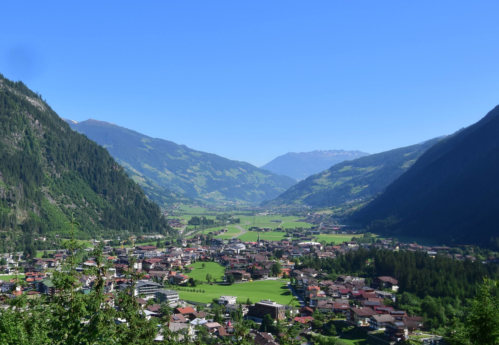 Summer panoramic view of the Mayrhofen-Hippach region in the Zillertal valley: green meadows, houses, and villages in the valley, surrounded by wooded mountain slopes under a blue sky.