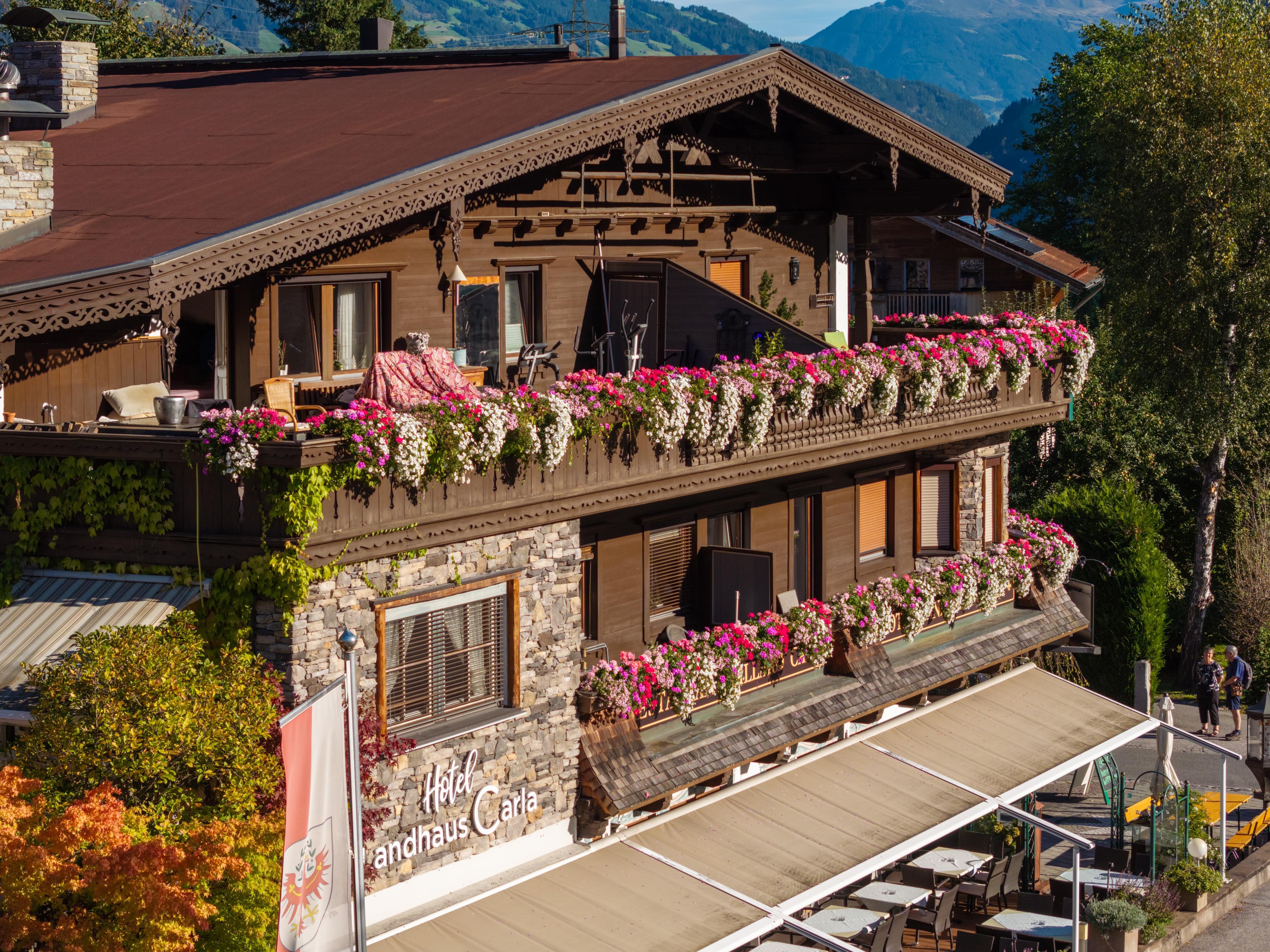 feratel-Apparthotel Landhaus Carla - DJI_20231003023429_0136_D-HDR_LandhausCarla_Blumen