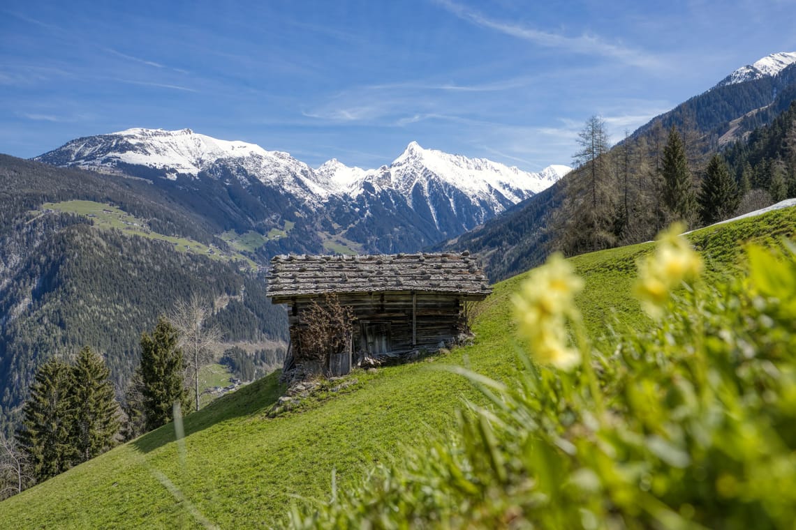 Pressebilder - Bilder aus Mayrhofen-Hippach