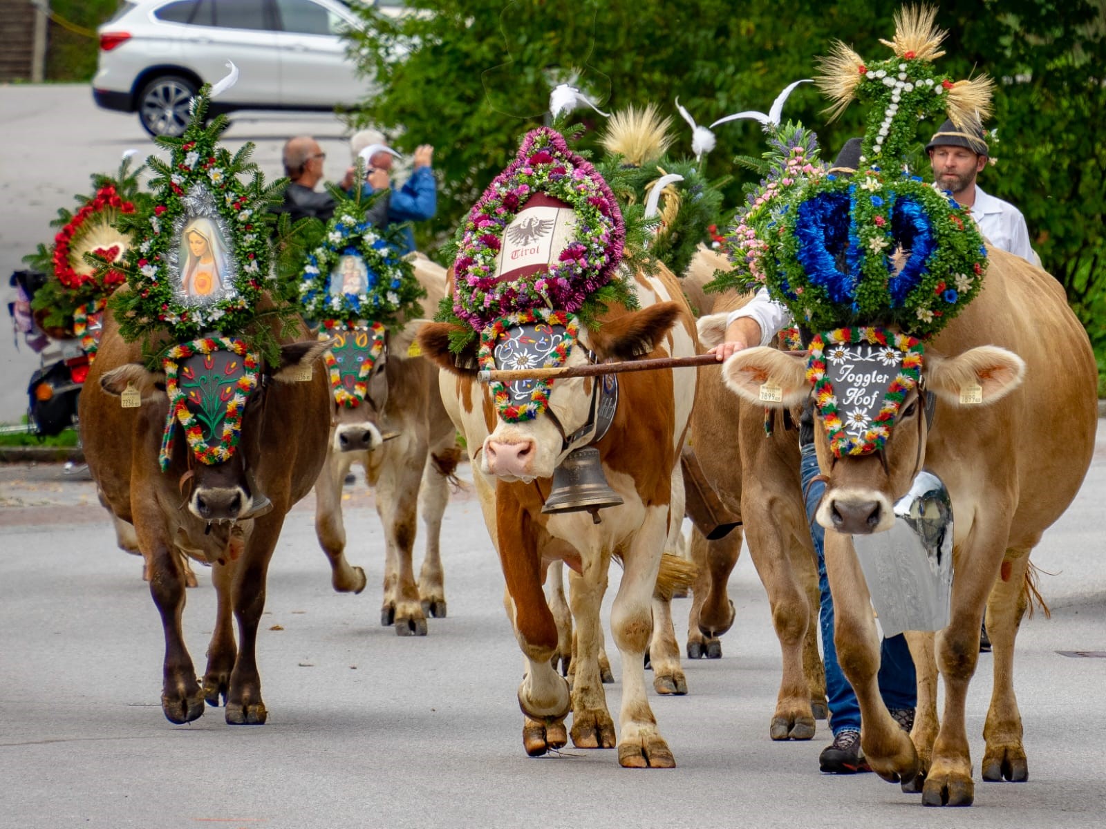 mys-Almabtrieb at the Jogglerhof Ramsau on 23.09.2023-Almabtrieb Jogglerhof Ramsau