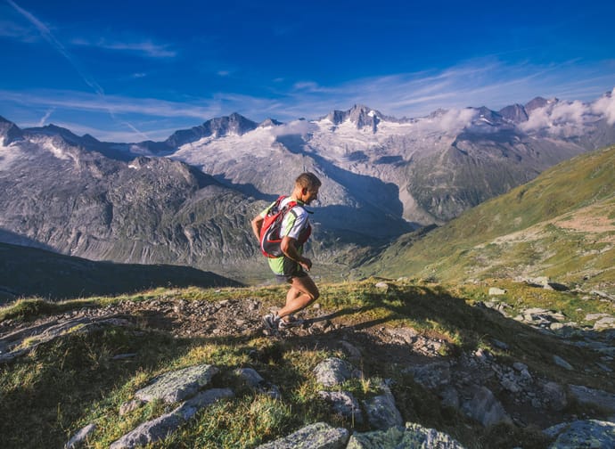 feratel-Apart Margot - sommer-steinbockmarsch2020-foto-dominic-ebenbichle
