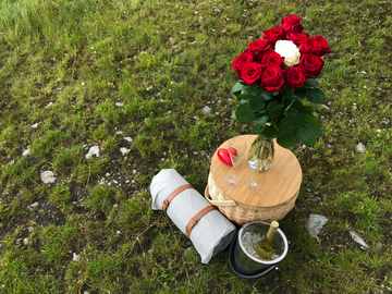 mys-Picnic at Gerent Reservoir-Schneekar Picknick mit Rosen