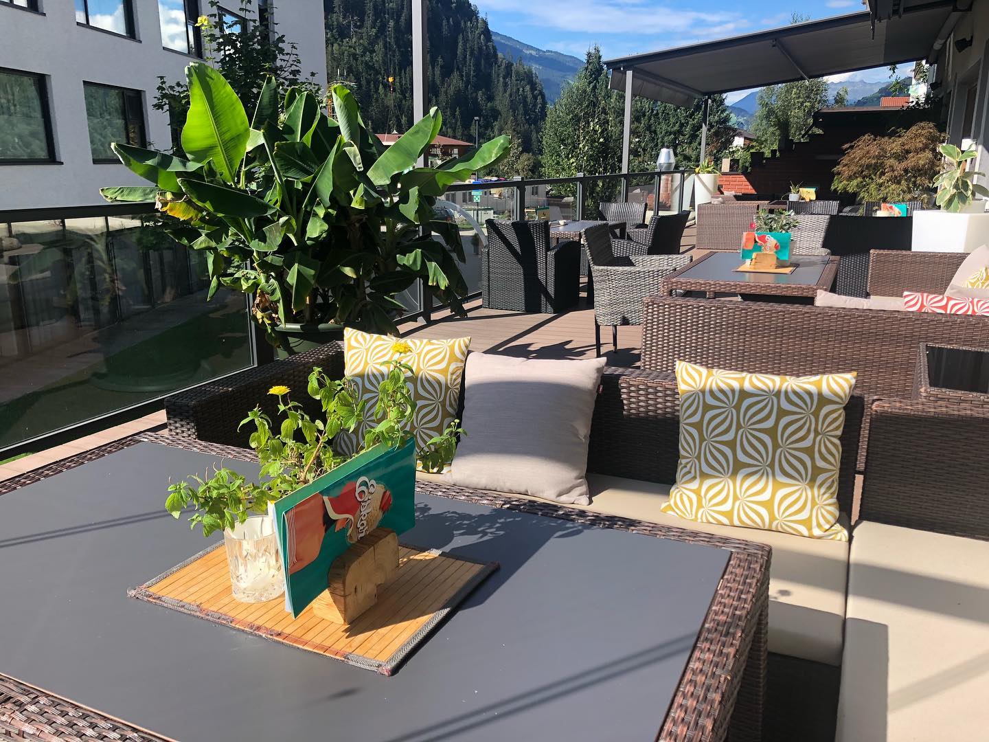 Das Bild zeigt eine Terrasse mit bequemen Lounge-Sitzen, die zum Entspannen einladen. Umgeben ist der Bereich von verschiedenen Pflanzen, die eine angenehme und ruhige Atmosphäre schaffen.
