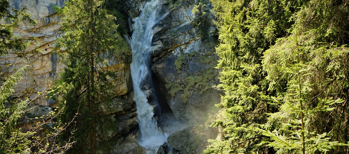 Ein Wasserfall in einem Wald