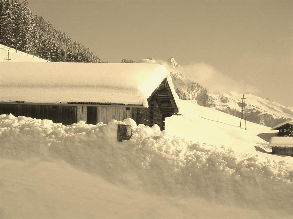 feratel-Moosleite - Winter Landschaft