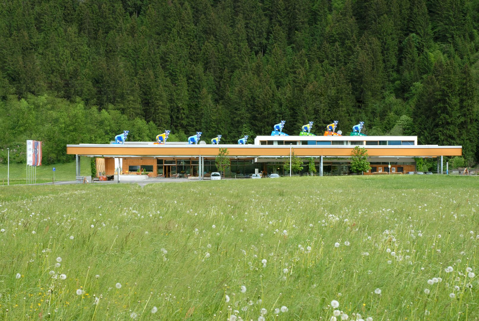 Show Dairy in the Mayrhofen-Hippach holiday region