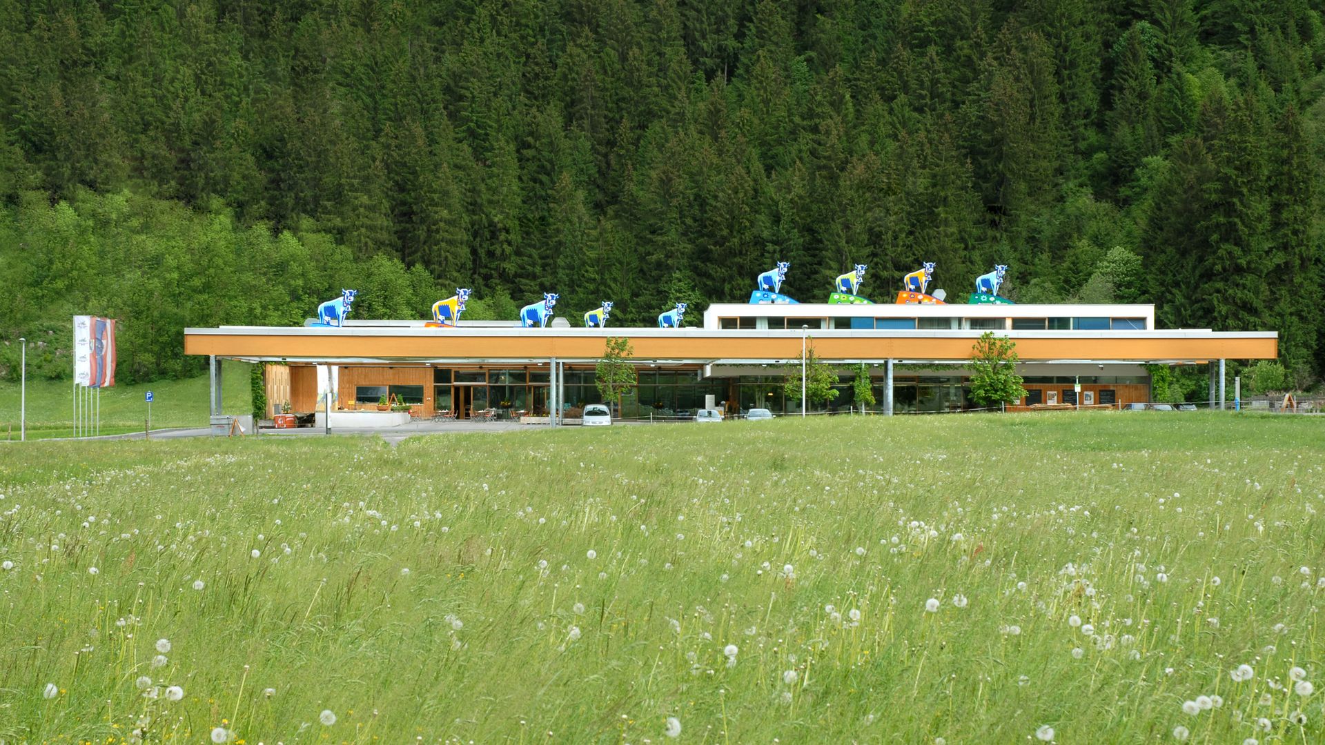 Show Dairy in the Mayrhofen-Hippach holiday region
