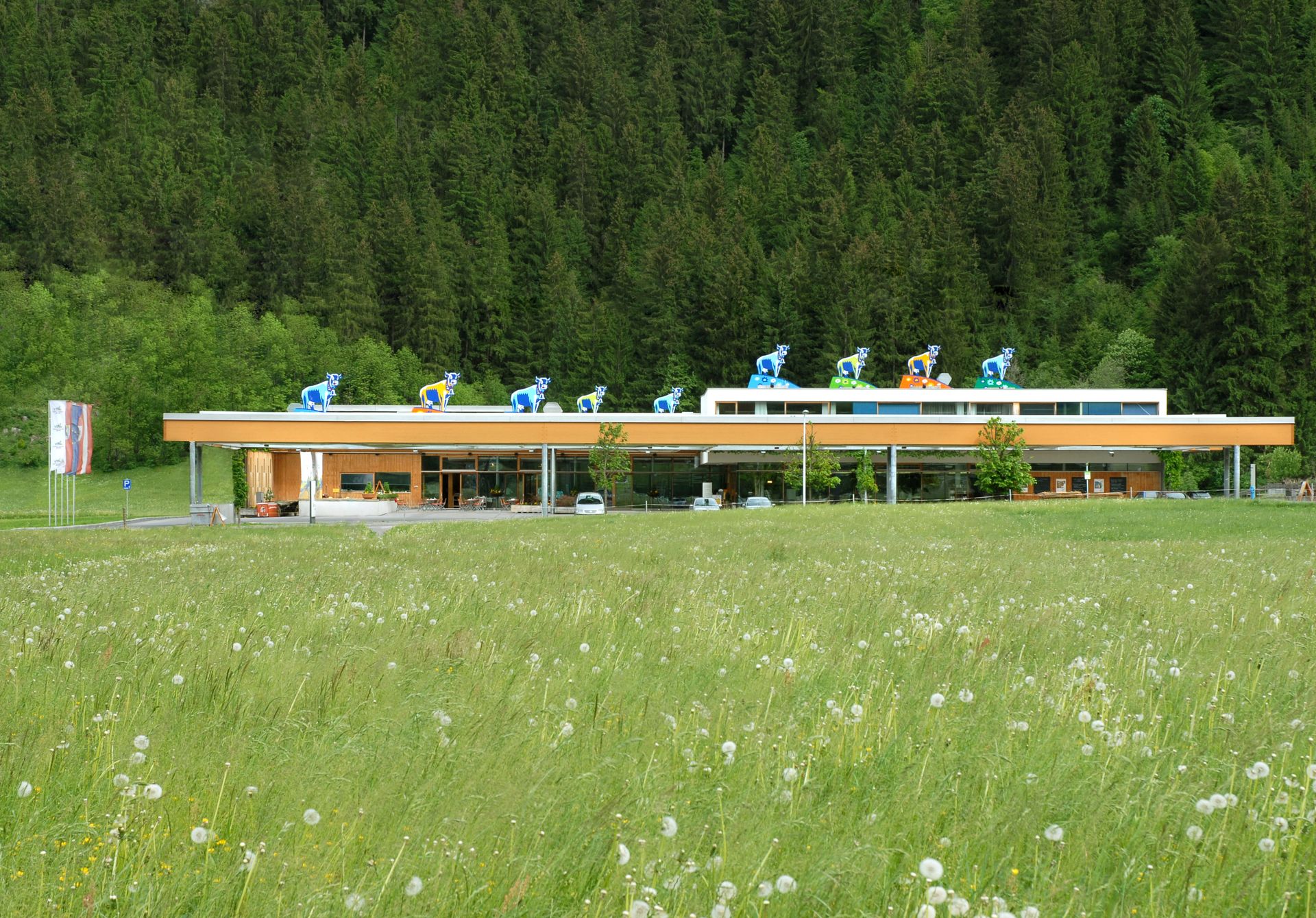 SchauSennerei in der Ferienregion Mayrhofen-Hippach