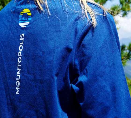 Mountopolis Longsleeve Shirt in blau