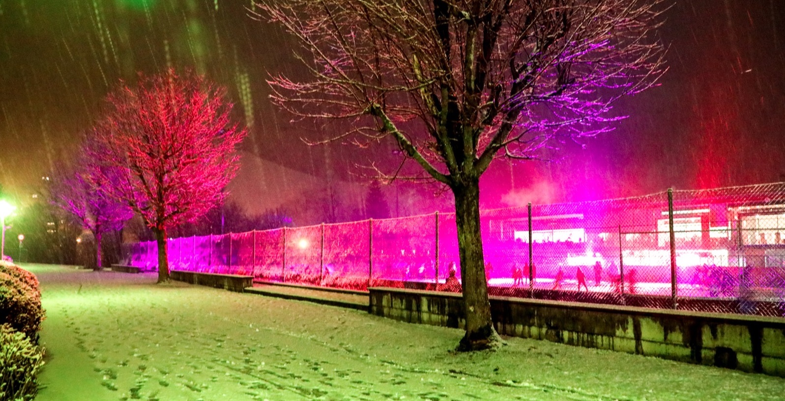 mys-Freizeitpark Zell GmbH-Freizeitpark Zell GmbH - Winter_night_shop3.jpg