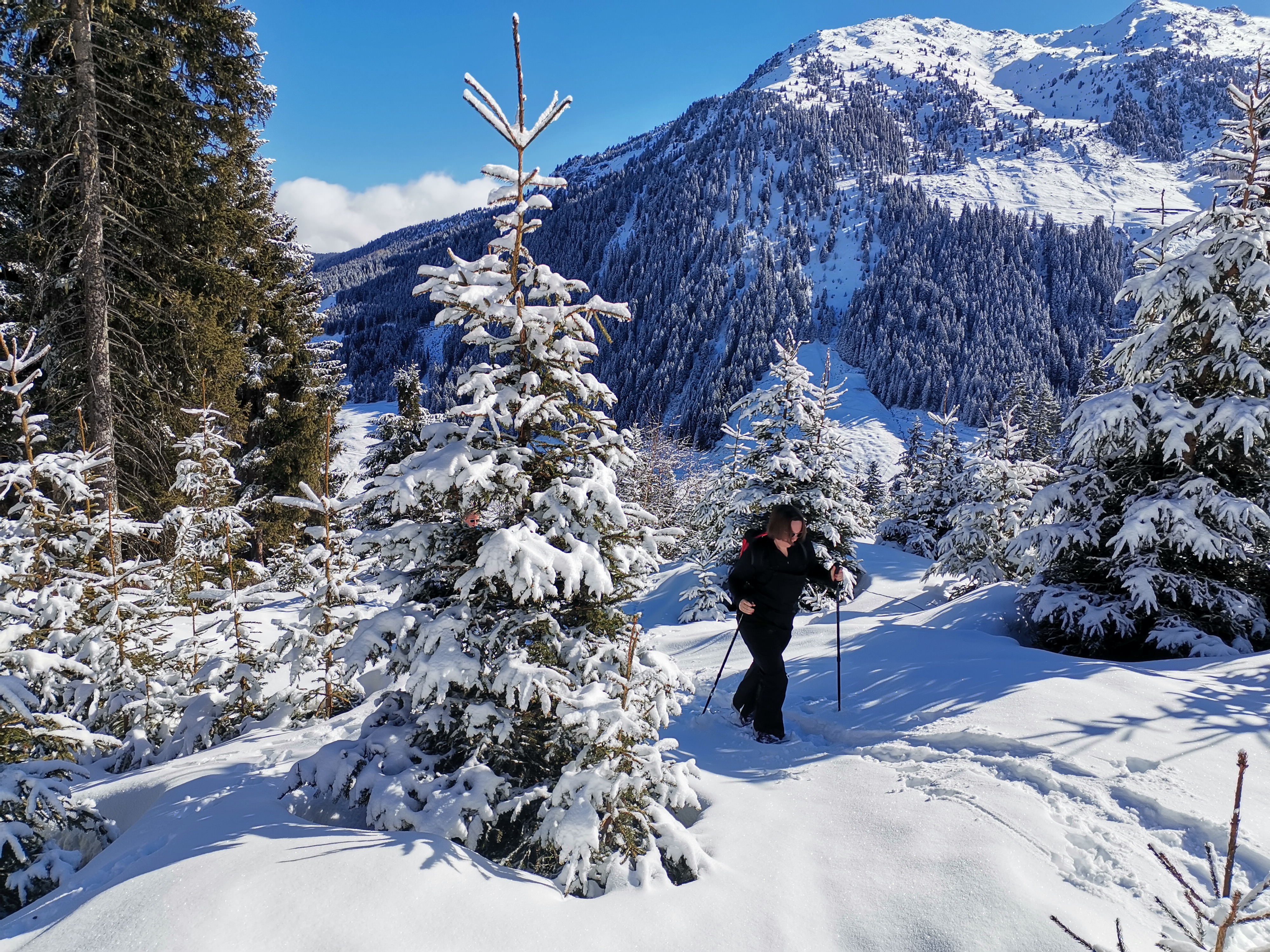 mys-Snowshoe Hike - Hiking in the Snow - Hochfügen-HF2