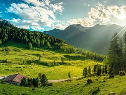 mys- Out and about in the realm of stone pine and nutcrackers-Die Loschbodenalm im Tuxer Tal