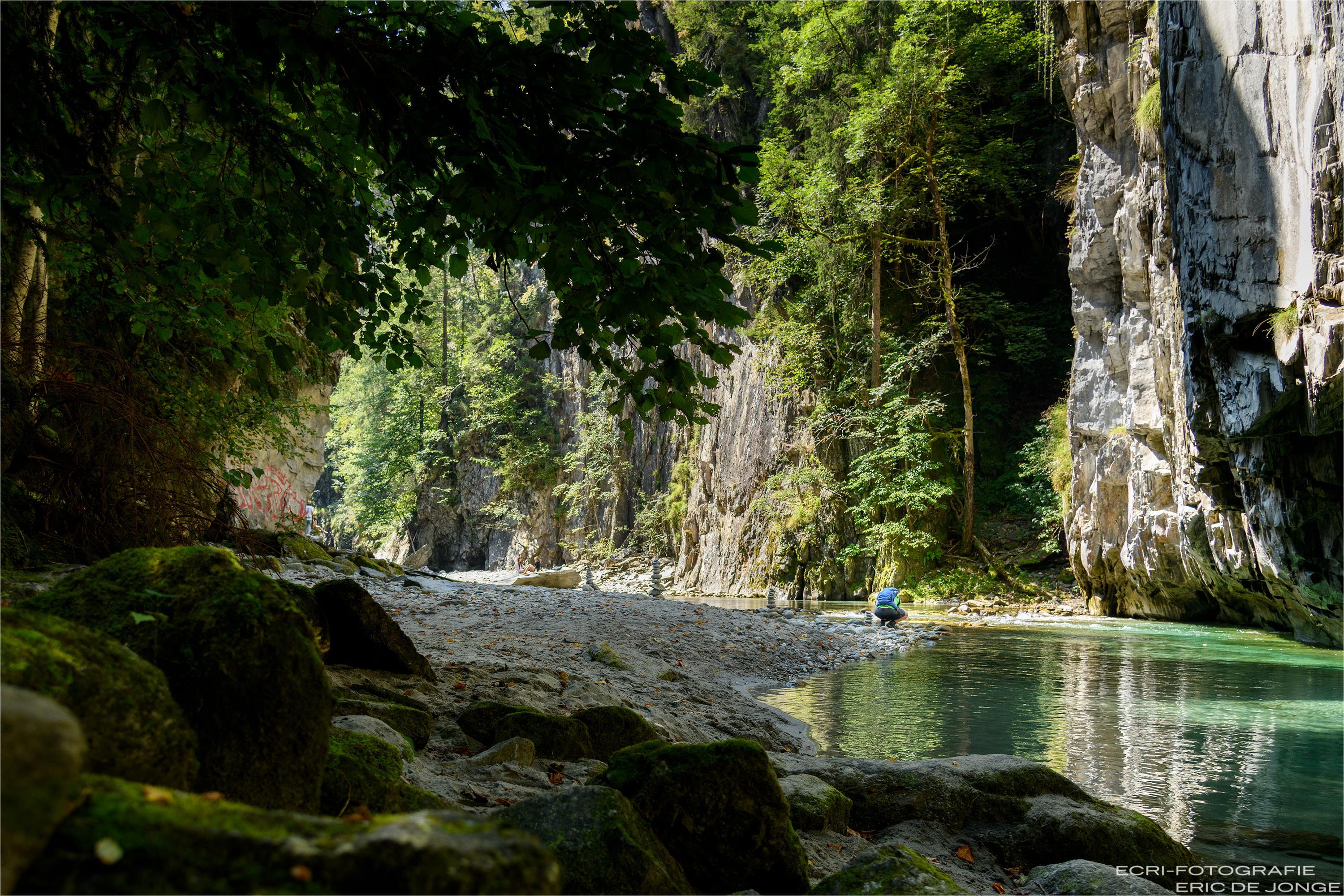 Ein Fluss in einer engen, bewaldeten Schlucht mit Felsen und grünen Bäumen, Sonnenlicht durch die Blätter.