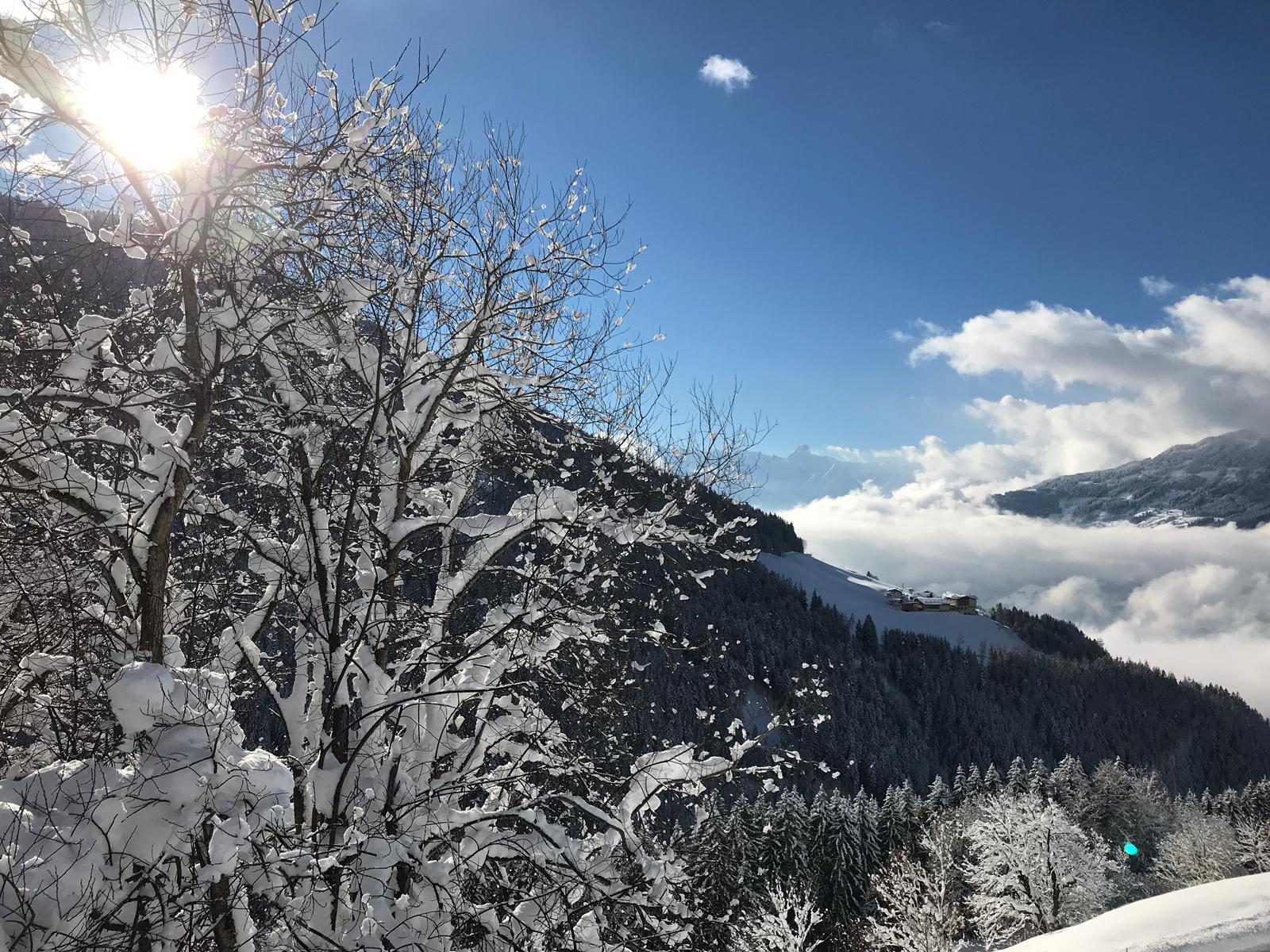 feratel-Ferienhaus Gasteig Zillertal - Aussicht