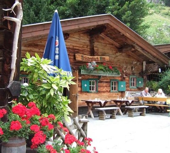 mys-Tristenbachalm 1.000m - Ginzling-Tristenbachalm 2