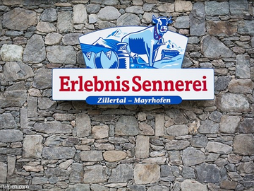 mys-Vereinsausstellung des Haflinger Pferdezuchtverein Zillertal in der Erlebnissennerei in Hollenzen-Erlebnis Sennerei