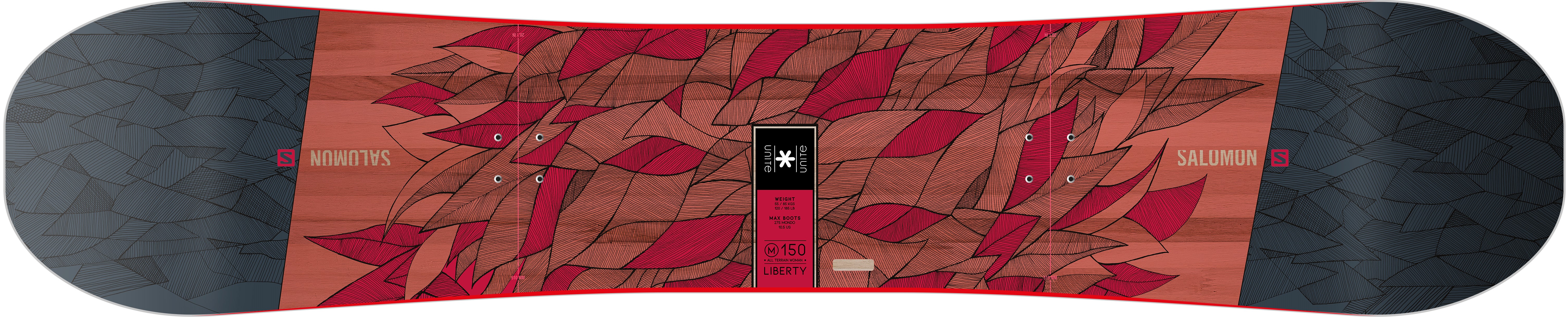 Snowboard Silber Unterlercher 2026