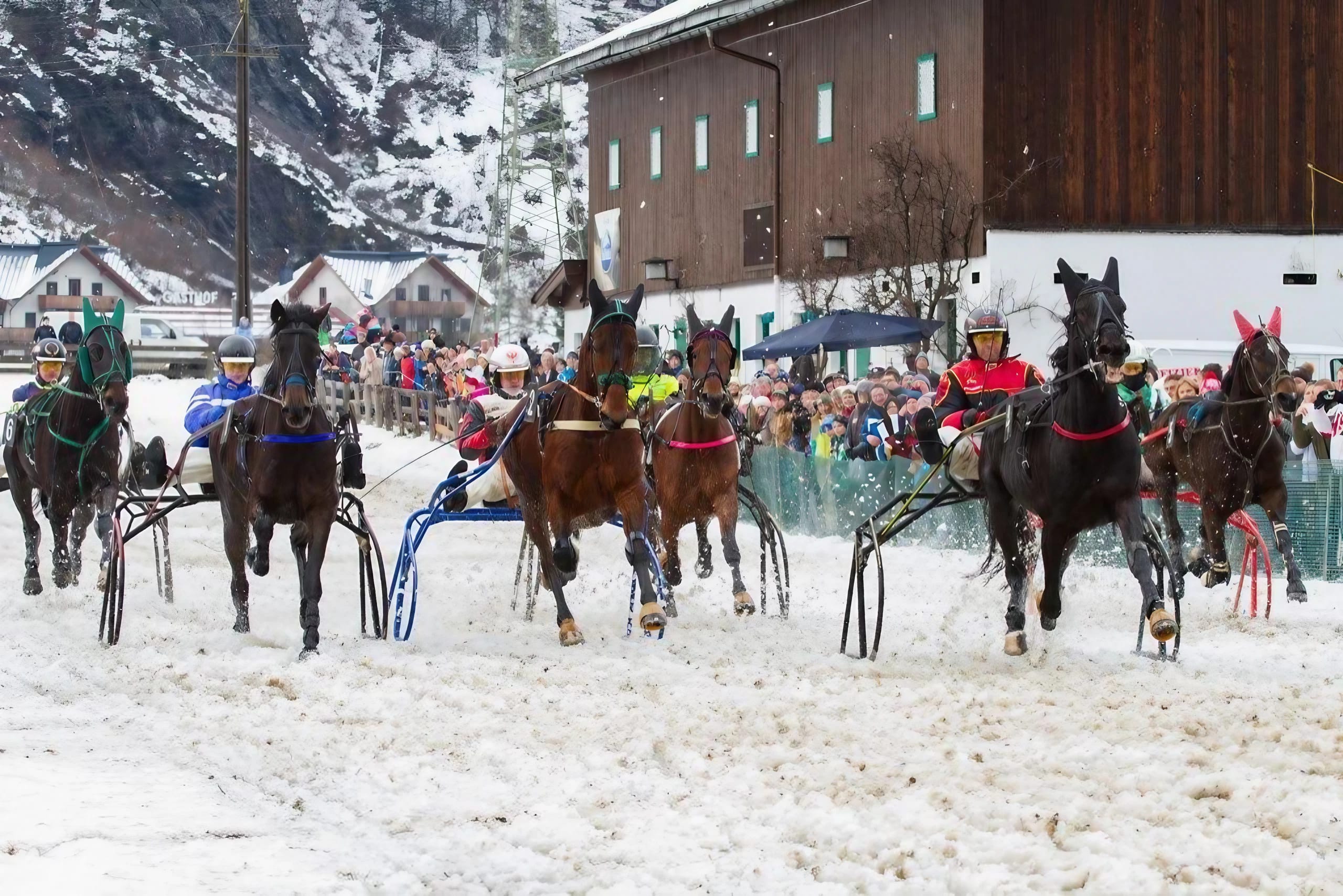 Pferderennen auf Schnee 