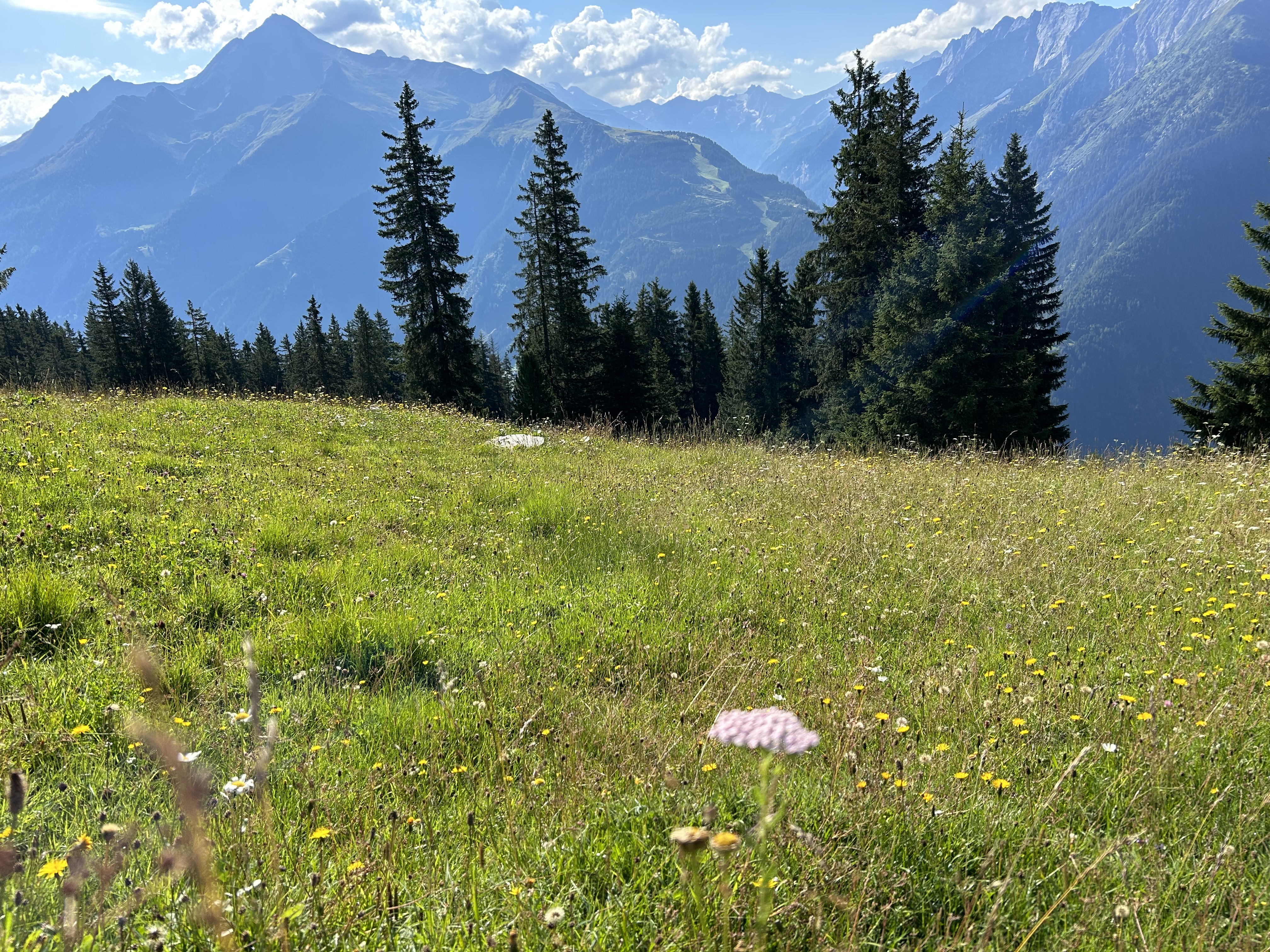 mbb-erlebnis-tester-laurent-williams 