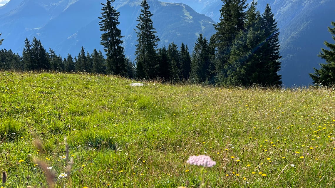 mbb-erlebnis-tester-laurent-williams