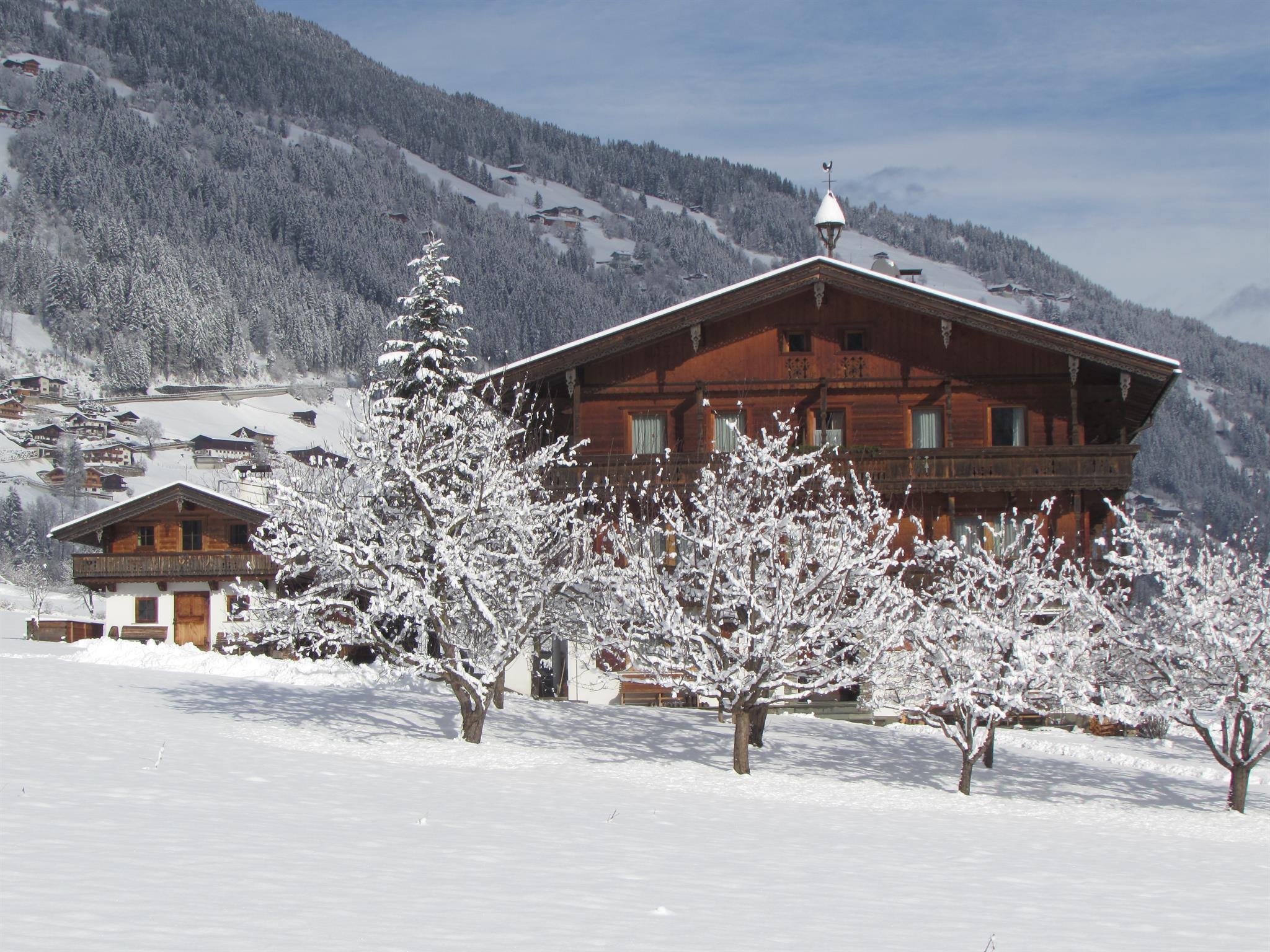 Snow-covered trees and chalets in a mountain village with a cloudy sky in the background.