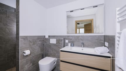 Modern bathroom with mirror, sink, toilet, and towel radiator in neutral tones.