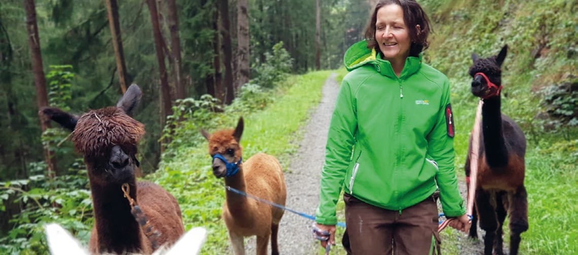 mys-Visiting the farm-Zu Besuch am Bauernhof