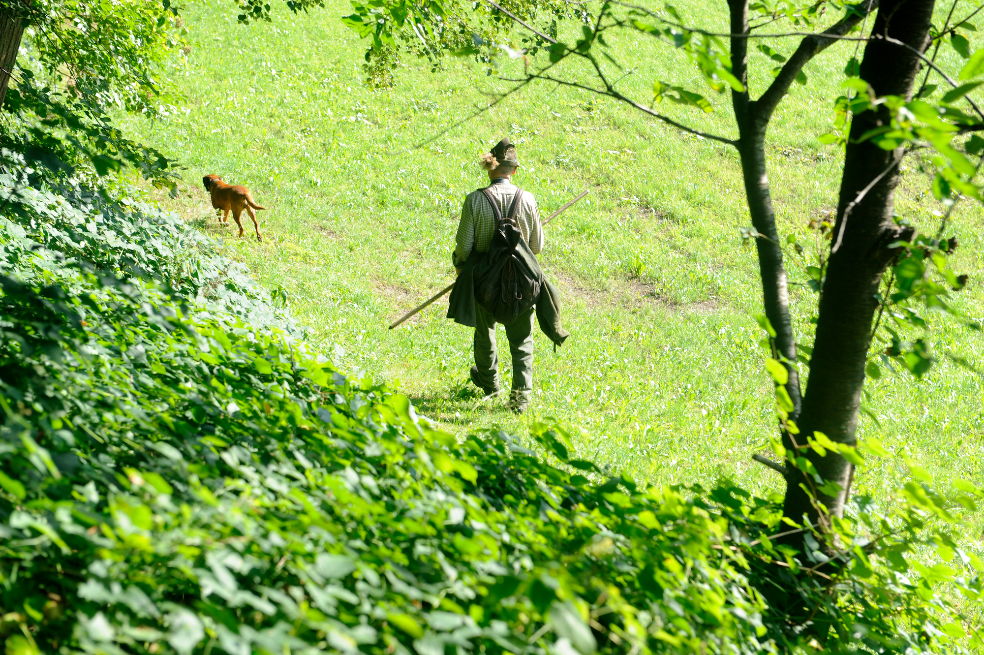 mys-Jagen - Gasthof Perauer-Jagen