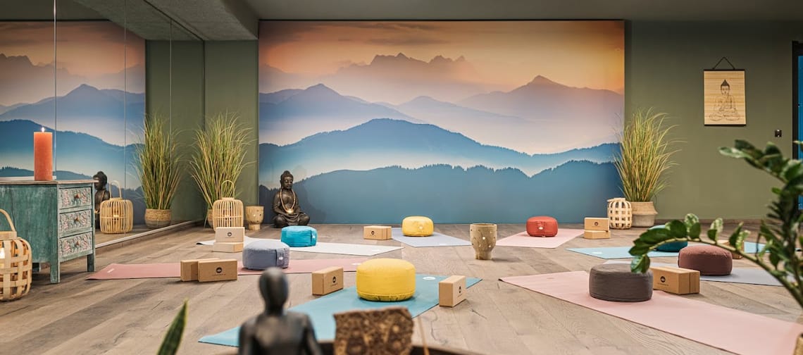 mys-Yogi Nest-Yogi Nest