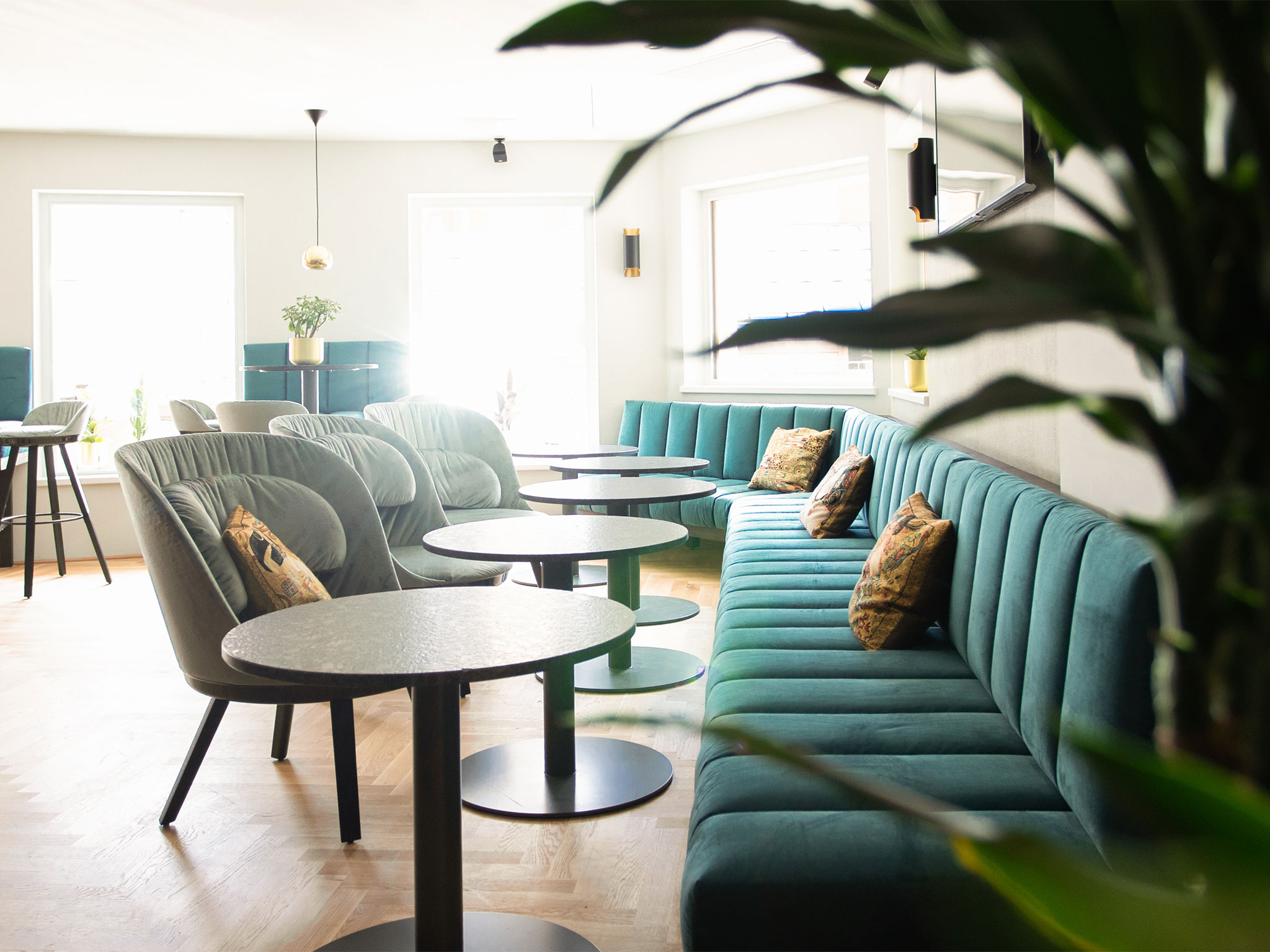 The image shows a cozy seating area at the Hof Bar – Wine & Cocktail Bar, featuring a turquoise bench, matching armchairs and chairs. A plant is placed in the foreground, while large windows in the background create a bright and welcoming atmosphere