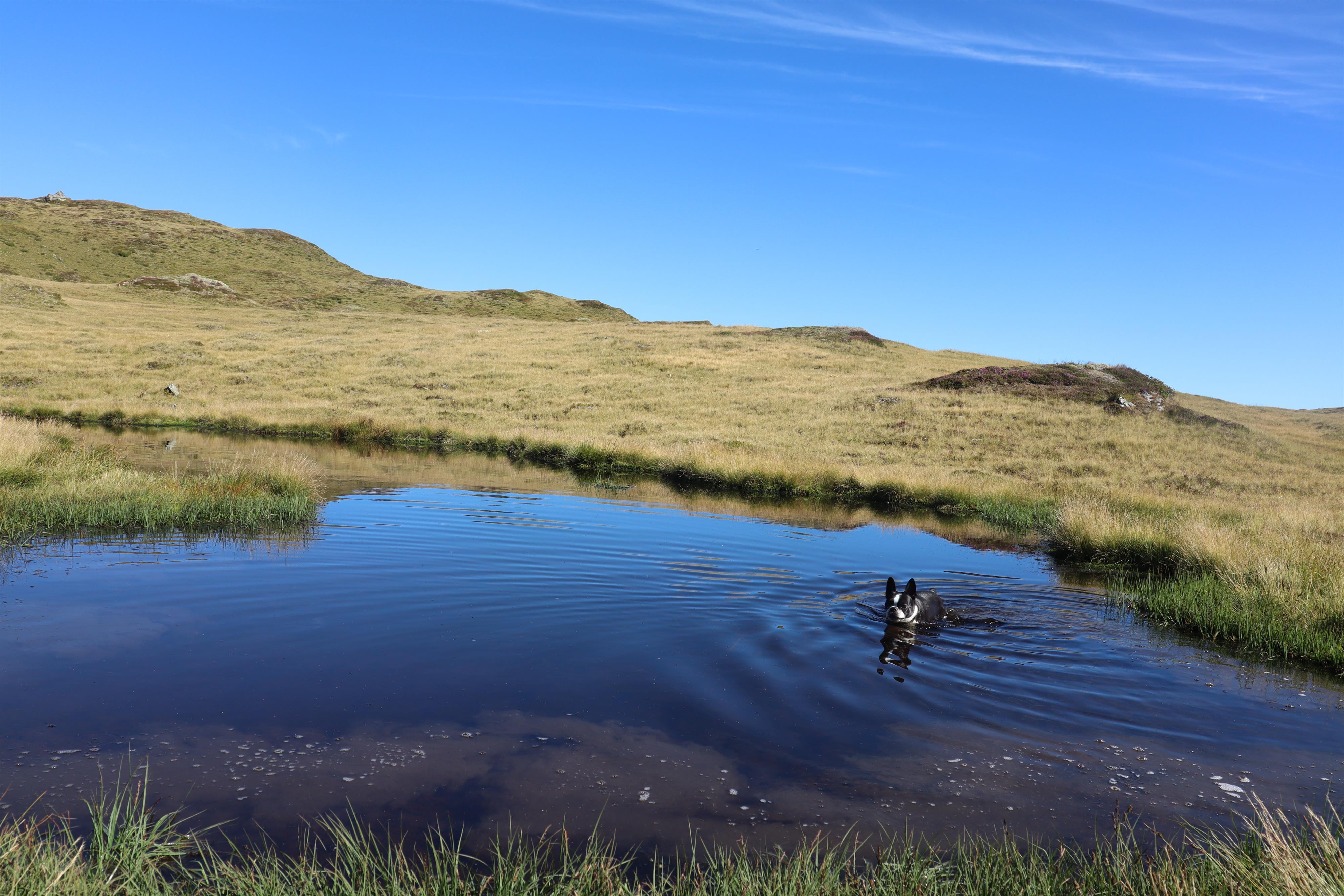 feratel-Gruber Barbara - IMG_4851