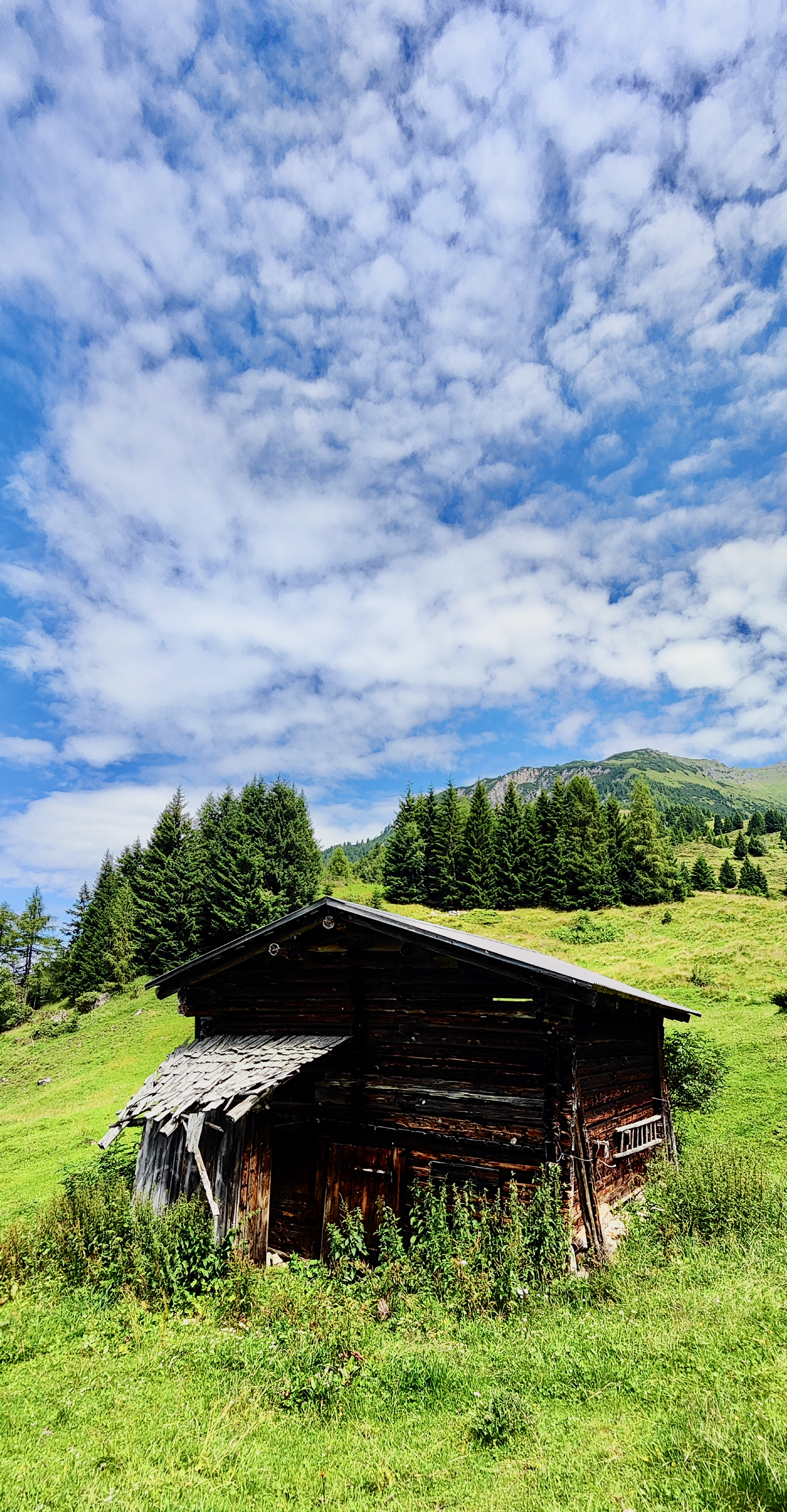 Trockenstadel "almkräuterei"
