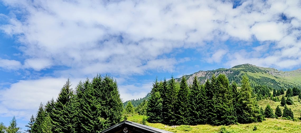 Trockenstadel "almkräuterei"