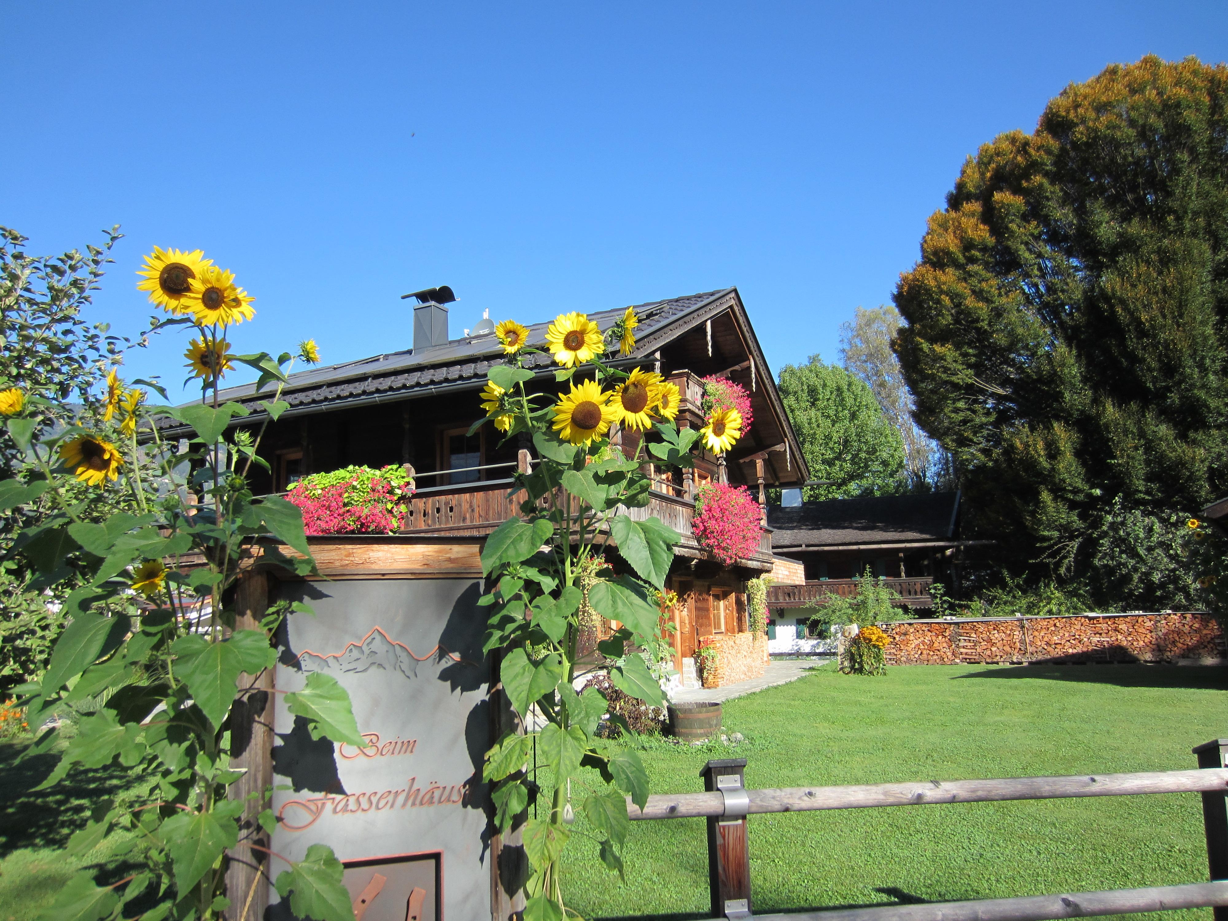 Blick auf ein Haus mit Holzfassade, umgeben von bunten Blumen und grünen Bäumen bei sonnigem Himmel.