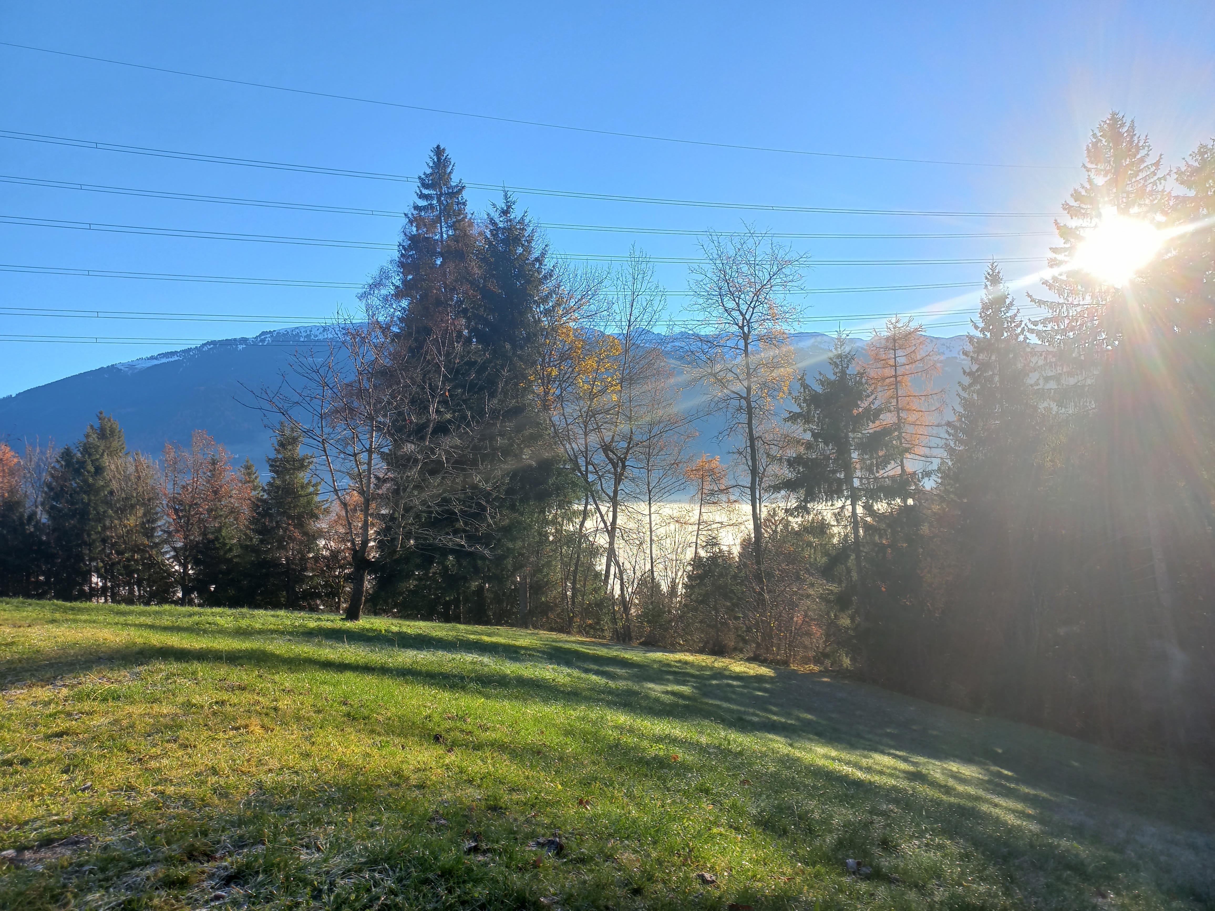 feratel-Wieshof - Aussicht