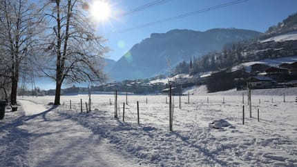 feratel-Apart Anfang - Winterlandschaft Hippach