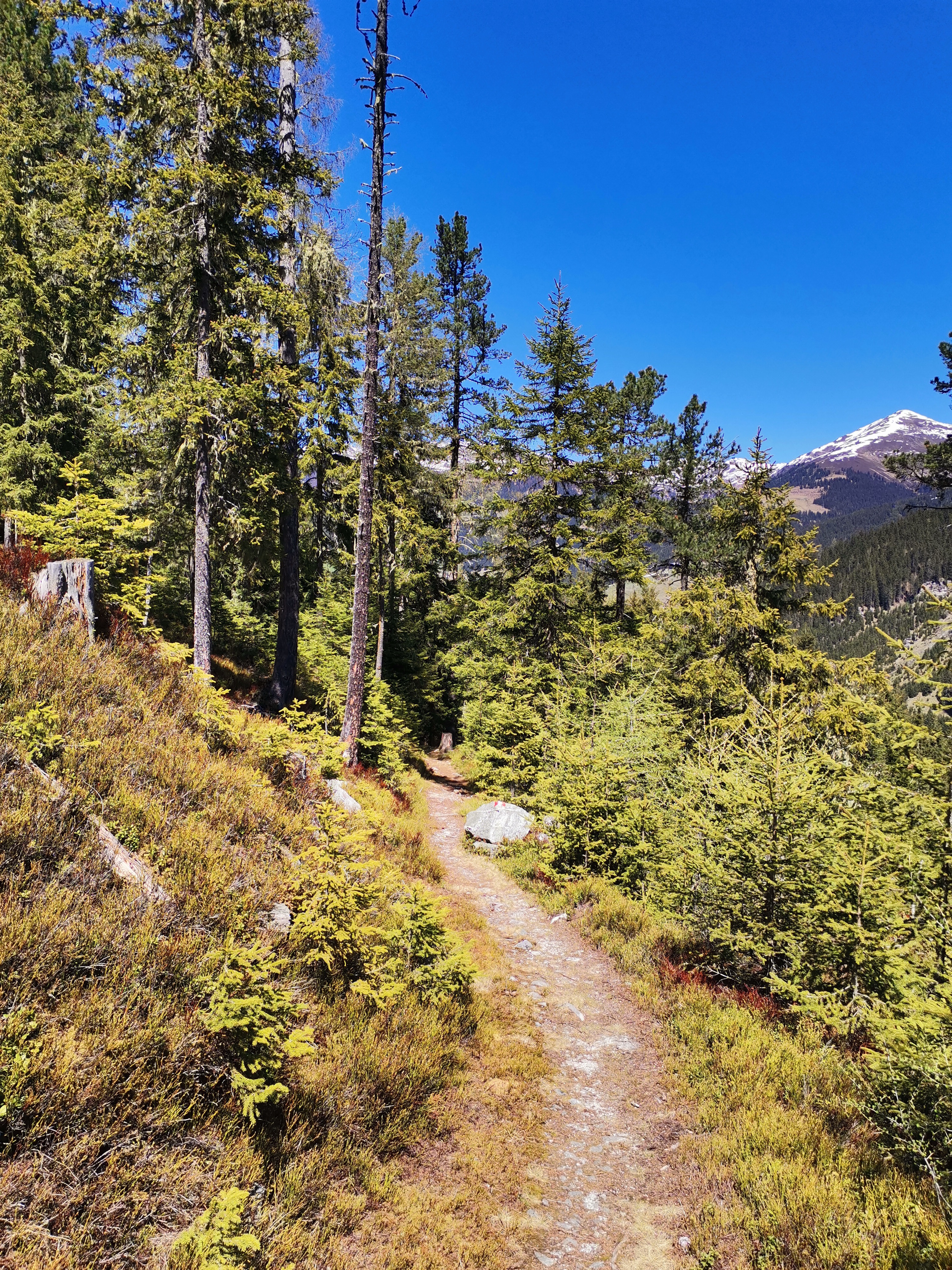 Schönachtal